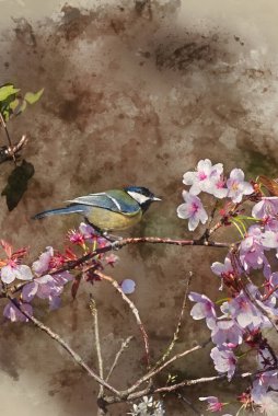 Digital watercolor painting of Beautiful Spring landscape image of Great Tit bird Parus Major on pink blossom tree in forest setting with colorful vibrant colors