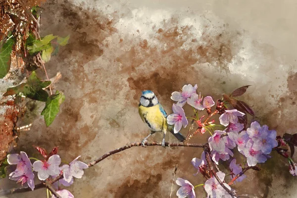 Digital Watercolor Painting Beautiful Spring Image Blue Tit Cyanistes Caerulueus — ストック写真