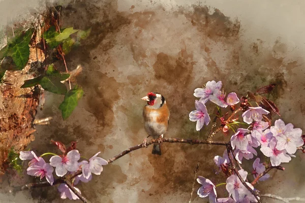 Pintura Digital Acuarela Hermosa Imagen Goldfinch Carduelis Carduelis Pájaro Entorno —  Fotos de Stock