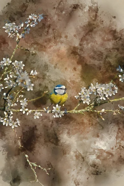 Digital Watercolor Painting Beautiful Spring Image Blue Tit Cyanistes Caerulueus — Photo