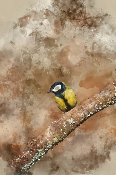 Digital Watercolor Painting Beautiful Spring Landscape Image Great Tit Bird — Photo