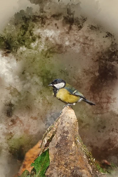 Digital Watercolor Painting Beautiful Spring Landscape Image Great Tit Bird — Stok fotoğraf