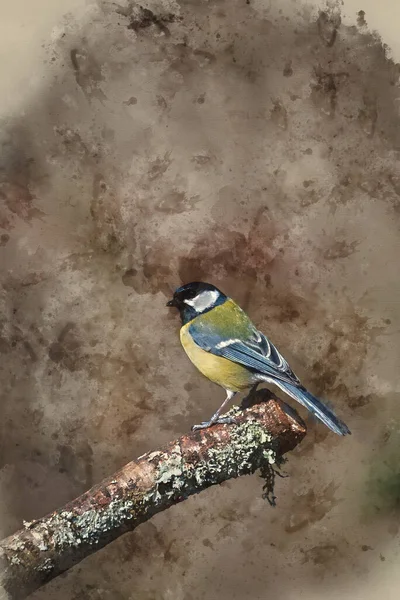Digital Watercolor Painting Beautiful Spring Landscape Image Great Tit Bird — ストック写真