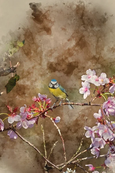 Digital Watercolor Painting Beautiful Spring Image Blue Tit Cyanistes Caerulueus — Stok fotoğraf