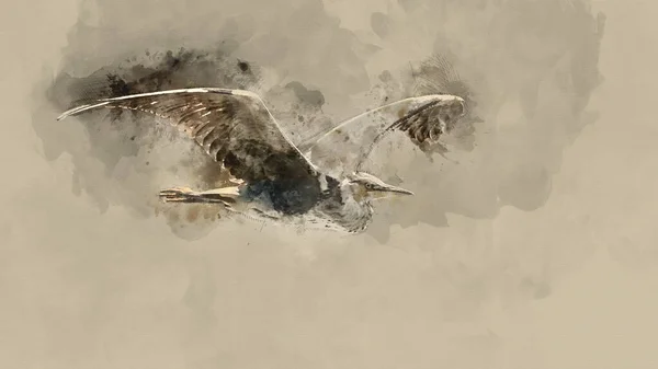 Gri Heron Ardea Cinerea Kuşunun Güneşli Bahar Sabahı Uçuşunun Dijital — Stok fotoğraf