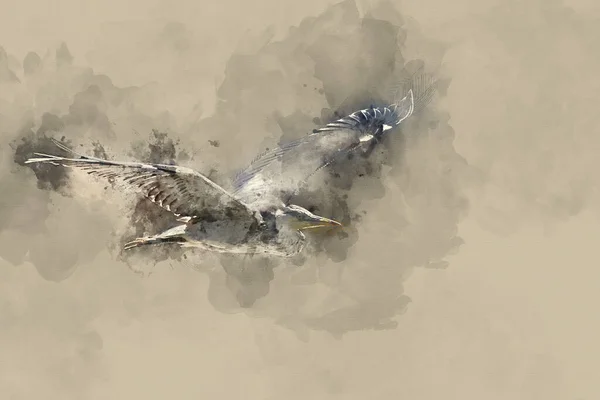 Digital Akvarell Målning Härlig Bild Grey Heron Ardea Cinerea Fågel — Stockfoto