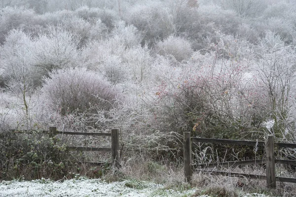 Beautiful Wintry Landscape Image Forest English Countryside Covered Hoarfrost —  Fotos de Stock