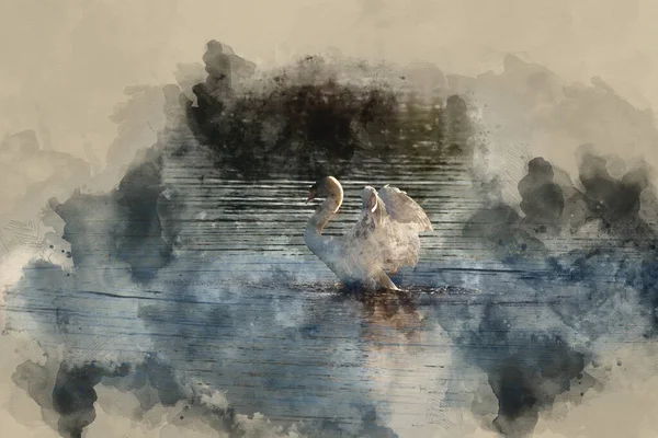 Digitally Created Watercolour Painting Beautiful Mute Swan Cygnus Olor Lake — Stockfoto