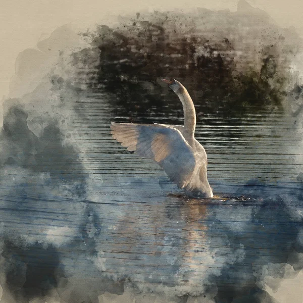 湖面上的美丽薄荷叶天鹅绒水彩画 展翅展翅 展现了翅膀的细腻与美丽 — 图库照片