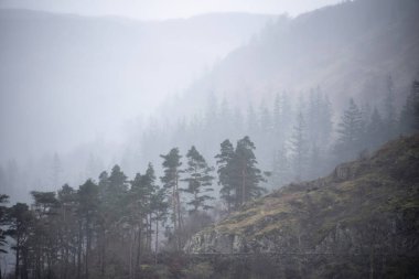 Beautiful calm peaceful Winter landscape over Thirlmere in Lake District with fog and layers of trees visible in the distance