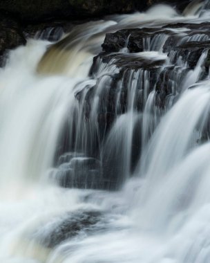 İngiltere 'nin Yorkshire Dales kentindeki Aysgarth Şelalesi' nin güzel huzurlu manzarası.