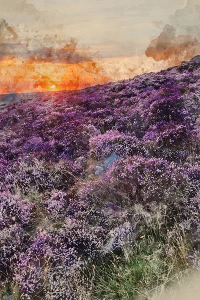 stock image Digital watercolour painting of Stunning late Summer sunrise in Peak District over fields of heather in full bloom around Higger Tor and Burbage Edge