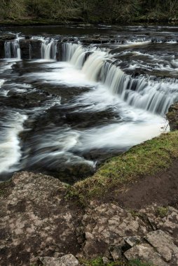 İngiltere 'nin Yorkshire Dales kentindeki Aysgarth Şelalesi' nin güzel huzurlu manzarası.