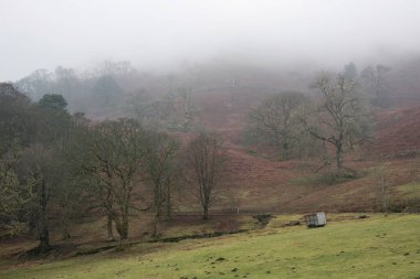 Beautiful Winter landscape image of Loughtrigg Tarn on misty morning with calm water and foggy countryside in the background