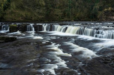 Beautiful peaceful landscape image of Aysgarth Falls in Yorkshire Dales in England during Winter morning