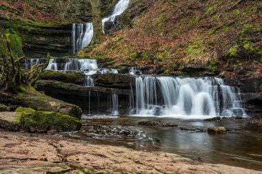 Beautiful peaceful landscape image of Scaleber Force waterfall in Yorkshire Dales in England during Winter morning