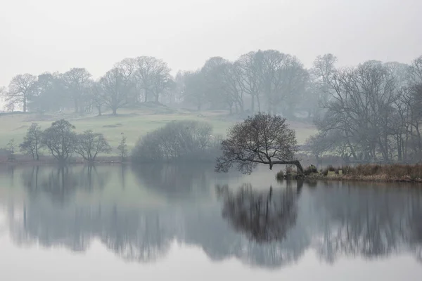 Beautiful Winter Landscape Image Loughtrigg Tarn Misty Morning Calm Water — Foto Stock