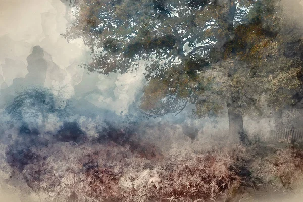 云雾弥漫的林地中美丽秋日日出景观的数字水彩画 — 图库照片