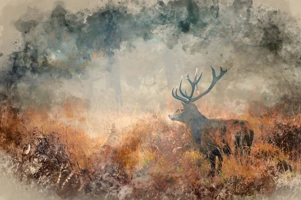 Digital Watercolour Painting Beautiful Red Deer Stag Cervus Elaphus Wild — Stock Photo, Image