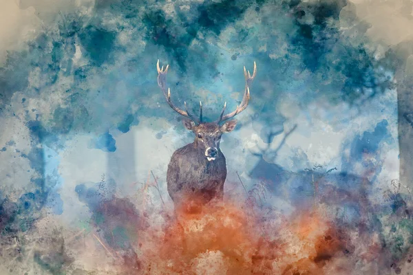 秋の風景の森の設定で美しい赤い鹿のスタッグCervus Elaphus野生動物のデジタル水彩画 — ストック写真