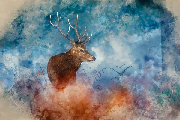 秋季山水画中美丽的红鹿 鹿角野生动物的数字水彩画 — 图库照片