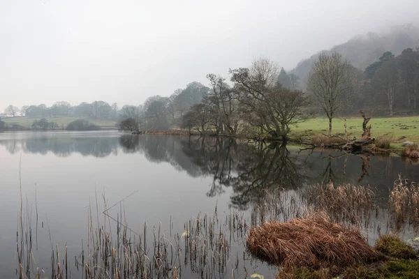 Beautiful Winter Landscape Image Loughtrigg Tarn Misty Morning Calm Water — Stock Photo, Image