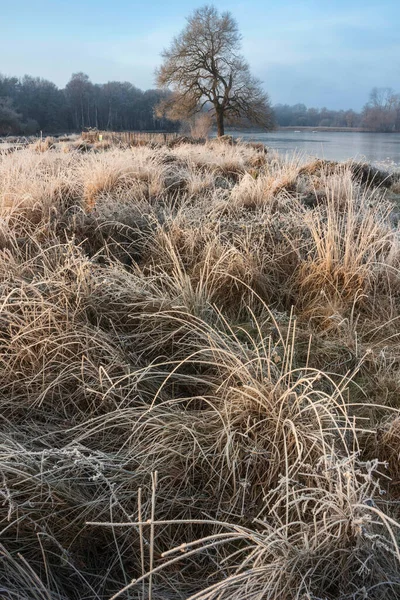 Mooie Winter Zonsopgang Landschap Beeld Bij Dageraad Met Hevige Vorst — Stockfoto