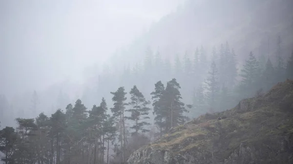 Beautiful Calm Peaceful Winter Landscape Thirlmere Lake District Fog Layers — Photo