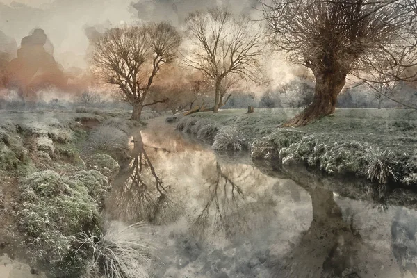 植物や黄金の時間の日の出光と木の上に霜と夜明けの美しい冬の日の出風景画像のデジタル水彩画 — ストック写真
