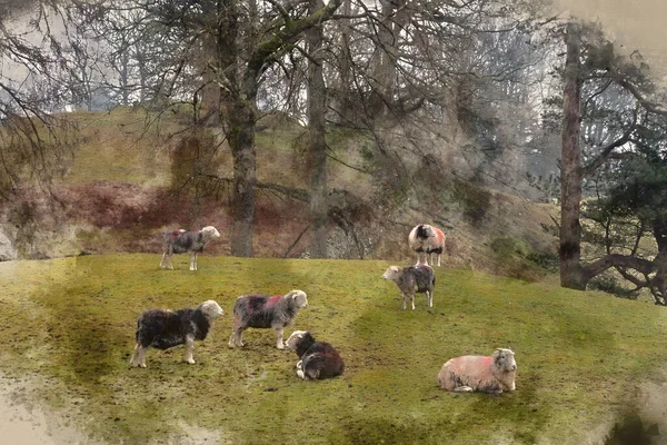 Digitální Akvarel Obraz Krásná Krajina Obraz Ovcí Farmě Vedle Loughrigg — Stock fotografie