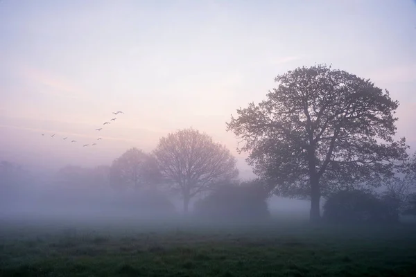 Schöner Nebliger Sonnenaufgang Der Englischen Landschaft Mit Sanftem Pastellhimmel Und — Stockfoto