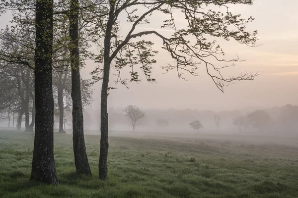 Mooie Mistige Zonsopgang Het Engelse Platteland Met Zachte Pastellucht Rustig — Stockfoto
