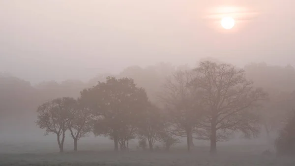 柔らかなパステルカラーの空と穏やかな気持ちで英語の田舎で美しい霧の日の出 — ストック写真