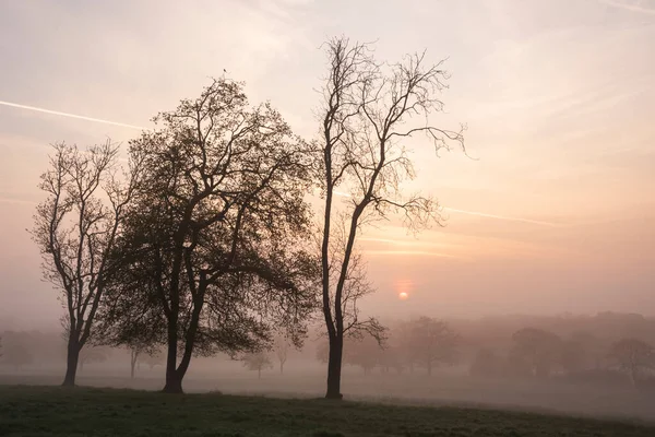 Beautiful Foggy Sunrise English Countryside Soft Pastel Sky Calm Feeling — Stock Photo, Image
