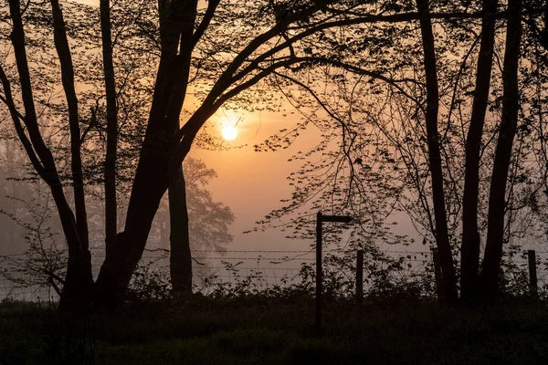 Beautiful Foggy Sunrise English Countryside Soft Pastel Sky Calm Feeling — Stock Photo, Image