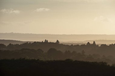 South Downs Ulusal Parkı 'nda canlı renklerle güzel bir yaz akşamı günbatımı.