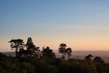 South Downs Ulusal Parkı 'nda canlı renklerle güzel bir yaz akşamı günbatımı.
