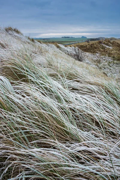 영국의 Northumberland 해변의 언덕에 잔디의 아름다운 스톡 이미지
