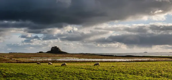 Lenyűgöző Tájkép Lindisfarne Szent Sziget Northumberland Anglia Idején Hangulatos Téli Jogdíjmentes Stock Fotók