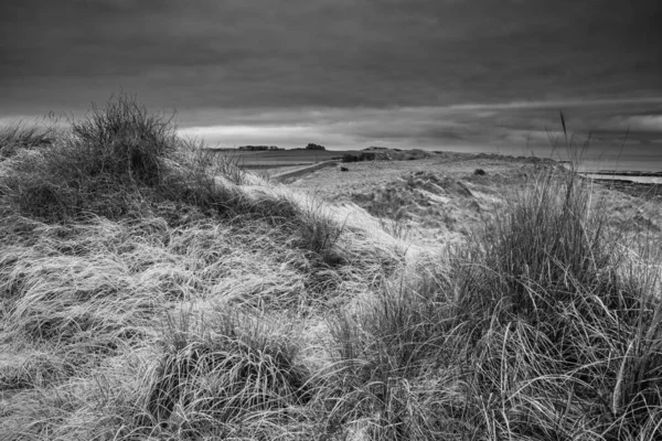 잉글랜드의 Northumberland 해변에 언덕에 잔디의 로열티 프리 스톡 이미지