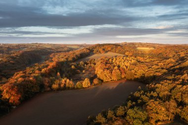 Güz Sonbaharı Ormanı 'nın güzel hava aracı görüntüsü Peak District' te sisli bir sabahta zirve renklerinde. 