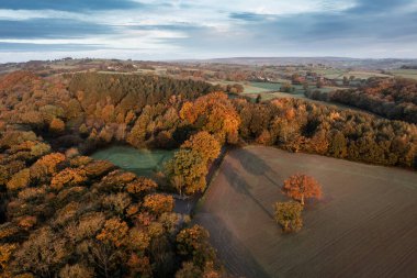 Güz Sonbaharı Ormanı 'nın güzel hava aracı görüntüsü Peak District' te sisli bir sabahta zirve renklerinde. 