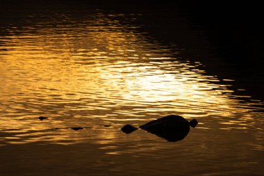 Lovely abstract landscape image of golden sunset reflected in Derwentwater in Lake District clipart