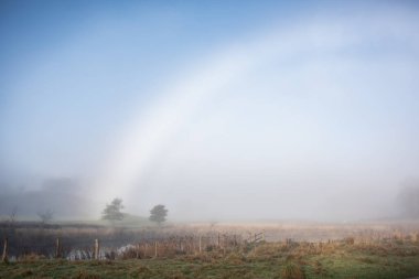 Atmospheric Autumn landscape image of rare fog bow over Elterwater riverbank with copse of trees clipart