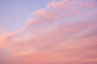 Arka plan olarak kullanılmak üzere güzel pembe canlı gökyüzü bulutu