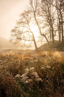 Stunning atmospheric sunrise landscape image of foggy morning at Elter Water around River Brathay in Lake District clipart