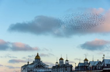 Pastel rengi kış günbatımı sırasında Viktorya Rıhtımı üzerinde uçan sığırcık hırıltısının çarpıcı görüntüsü