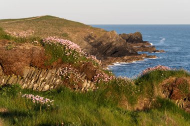Güzel bir yaz sabahı boyunca Cornwall İngiltere 'deki Pall Burnu' nun çarpıcı gündoğumu manzarası