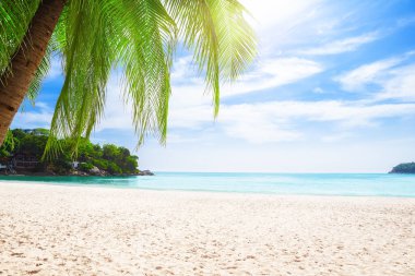 Tayland 'daki Phuket' te tropik beyaz kum plajı. Kata plajı, Tayland 'ın Phuket Adası' ndaki altın kum, kristal su ve palmiye ağaçlarıyla dolu cennet plajıdır. Tropikal seyahat hedefi.