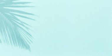 Hindistancevizi palmiye yaprağı gölgesi ve turkuaz arka planda dokuma duvarı manzarası. Yaz tropikal seyahat plajı konsepti. Düz renk palmiye doğası..